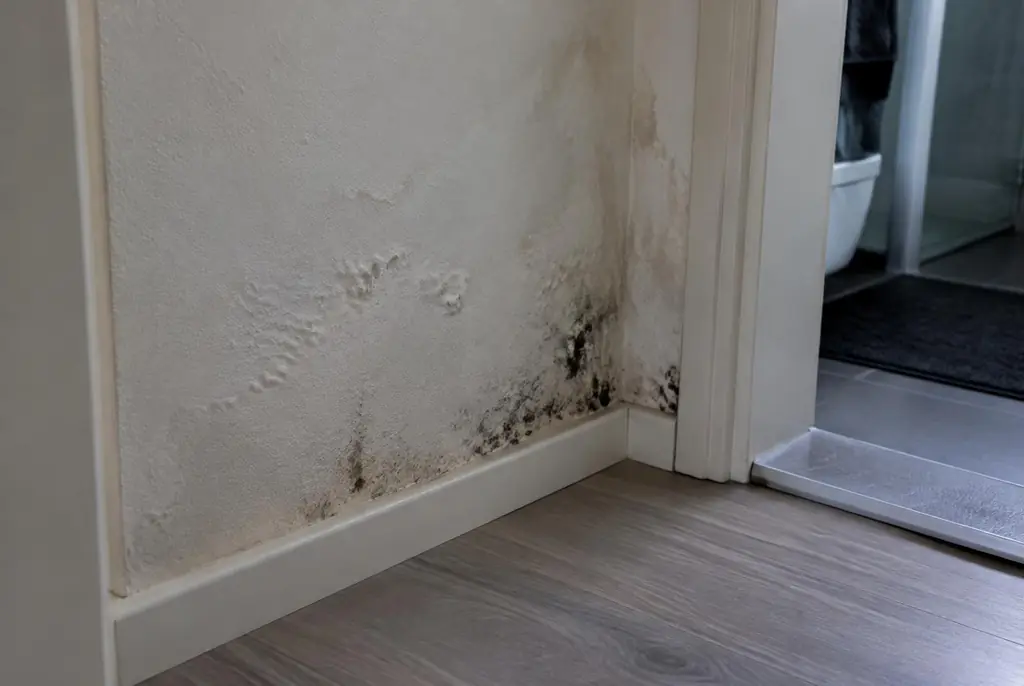 Lekdetectie Elspeet – vochtplek met schimmel op een muur